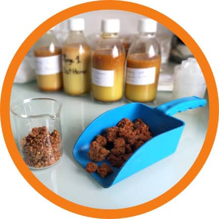 Garantir les polyphnols de la propolis