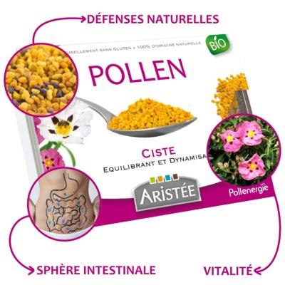 Pollen congel  l'tat frais de ciste Ariste